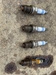 Plugs.jpg